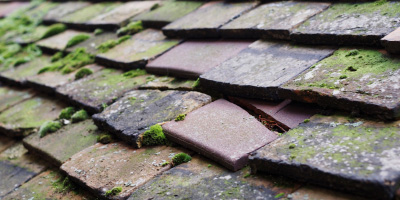 Sidley roof repair costs